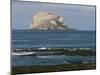 Bass Rock Gannetry, from the North Berwick Shore, East Lothian, Scotland, United Kingdom-Roy Rainford-Mounted Photographic Print