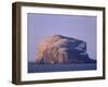 Bass Rock, Large Gannet Colony of around 80000 Nests, Near North Berwick, East Lothian, Scotland-Patrick Dieudonne-Framed Photographic Print