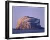 Bass Rock, Large Gannet Colony of around 80000 Nests, Near North Berwick, East Lothian, Scotland-Patrick Dieudonne-Framed Photographic Print