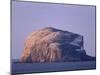Bass Rock, Large Gannet Colony of around 80000 Nests, Near North Berwick, East Lothian, Scotland-Patrick Dieudonne-Mounted Photographic Print