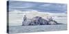 Bass Rock-Joan Gil Raga-Stretched Canvas