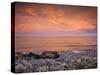 Bass Rocks, Gloucester, Cape Anne, Massachusetts, USA-Walter Bibikow-Stretched Canvas