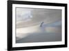 Basse mer sur la Baie-Philip Plisson-Framed Art Print