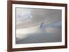 Basse mer sur la Baie-Philip Plisson-Framed Art Print