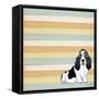 Basset Hound 1-Tammy Kushnir-Framed Stretched Canvas