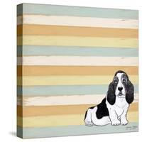 Basset Hound 1-Tammy Kushnir-Stretched Canvas