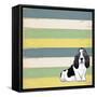 Basset Hound 2-Tammy Kushnir-Framed Stretched Canvas