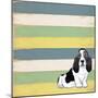 Basset Hound 2-Tammy Kushnir-Mounted Giclee Print