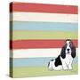 Basset Hound 3-Tammy Kushnir-Stretched Canvas