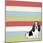 Basset Hound 3-Tammy Kushnir-Mounted Giclee Print