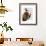 Basset Hound and Birds-Fab Funky-Framed Art Print displayed on a wall