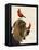 Basset Hound and Birds-Fab Funky-Framed Stretched Canvas