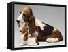 Basset Hound and Puppy-Sandro Nardini-Framed Stretched Canvas