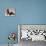 Basset Hound and Puppy-Sandro Nardini-Stretched Canvas displayed on a wall