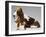 Basset Hound and Puppy-Sandro Nardini-Framed Giclee Print