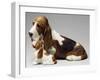 Basset Hound and Puppy-Sandro Nardini-Framed Giclee Print