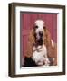 Basset Hound Breed, USA, North America-Lynn M. Stone-Framed Premium Photographic Print