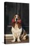 Basset Hound Carrying a Dog Bone-DLILLC-Stretched Canvas