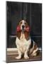 Basset Hound Carrying a Dog Bone-DLILLC-Mounted Photographic Print