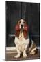 Basset Hound Carrying a Dog Bone-DLILLC-Mounted Photographic Print