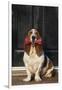 Basset Hound Carrying a Dog Bone-DLILLC-Framed Photographic Print