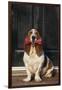 Basset Hound Carrying a Dog Bone-DLILLC-Framed Photographic Print