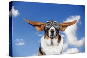 Basset Hound Dog Wearing Goggles with Ears Out-null-Stretched Canvas