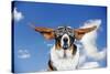 Basset Hound Dog Wearing Goggles with Ears Out-null-Stretched Canvas