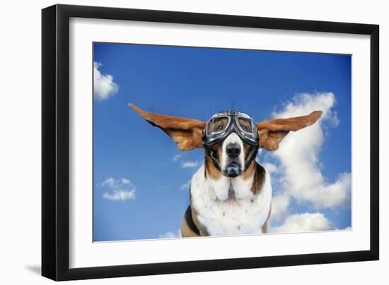 Basset Hound Dog Wearing Goggles with Ears Out-null-Framed Photographic Print