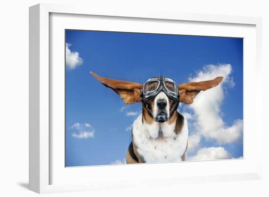 Basset Hound Dog Wearing Goggles with Ears Out-null-Framed Photographic Print