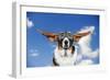 Basset Hound Dog Wearing Goggles with Ears Out-null-Framed Photographic Print