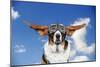 Basset Hound Dog Wearing Goggles with Ears Out-null-Mounted Photographic Print