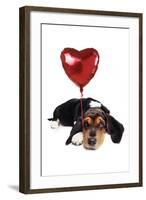 Basset Hound Dog with Heart Shaped Balloon-null-Framed Photographic Print