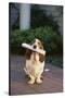 Basset Hound Fetching Newspaper-DLILLC-Stretched Canvas