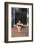 Basset Hound Fetching Newspaper-DLILLC-Framed Photographic Print