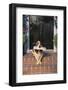 Basset Hound Fetching Newspaper-DLILLC-Framed Photographic Print