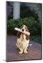 Basset Hound Fetching Newspaper-DLILLC-Mounted Photographic Print