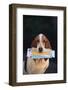 Basset Hound Fetching the Mail-DLILLC-Framed Photographic Print