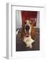 Basset Hound Fetching the Mail-DLILLC-Framed Photographic Print