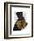 Basset Hound, Formal Hound and Hat-Fab Funky-Framed Art Print