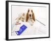 Basset Hound in Studio with Documentation-null-Framed Photographic Print