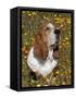 Basset Hound in Wildflowers-Lynn M^ Stone-Framed Stretched Canvas