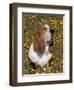 Basset Hound in Wildflowers-Lynn M^ Stone-Framed Photographic Print