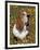 Basset Hound in Wildflowers-Lynn M^ Stone-Framed Photographic Print