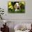 Basset Hound Pup in Flowers, Burlington, Wisconsin, USA-Lynn M^ Stone-Framed Stretched Canvas displayed on a wall