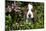 Basset Hound Pup in Flowers, Burlington, Wisconsin, USA-Lynn M^ Stone-Mounted Photographic Print