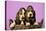 Basset Hound Puppies in Basket on Pink Background-null-Stretched Canvas