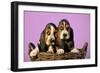 Basset Hound Puppies in Basket on Pink Background-null-Framed Photographic Print
