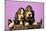 Basset Hound Puppies in Basket on Pink Background-null-Mounted Photographic Print