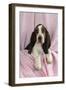 Basset Hound Puppy (10 Weeks) Sitting on Pink Blanket-null-Framed Photographic Print